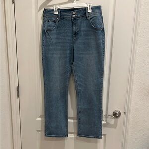 Hudson Jeans Blue Straight Leg Denim with Medium Wash